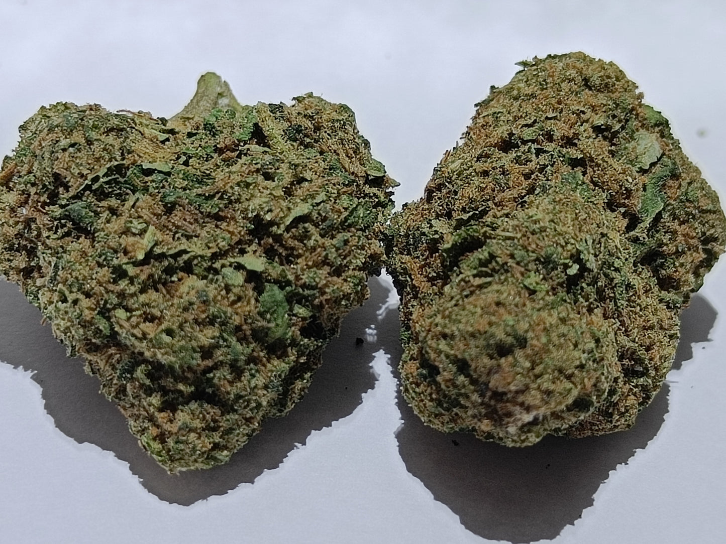 BUBBLEGUM GELATO - 21.9%CBD