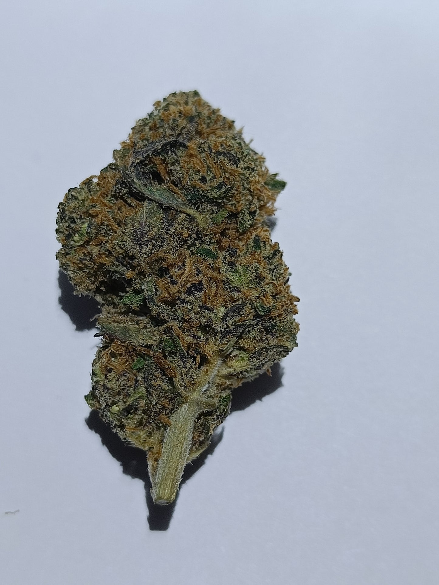 PINK STARTBURST - 23.01% CBD