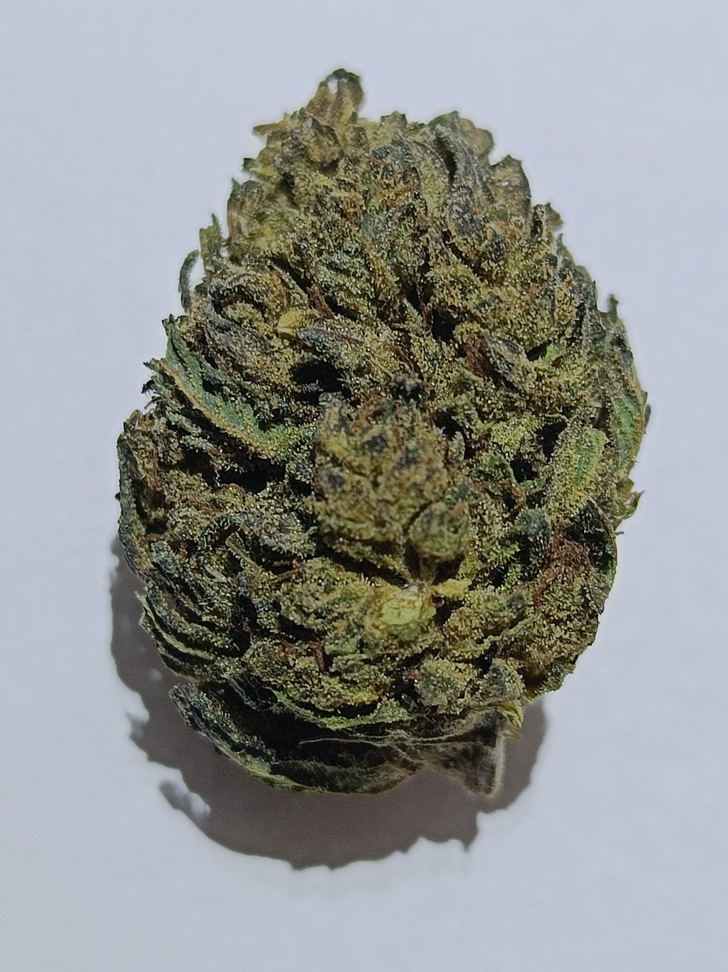 Bubba Kush 3.5g -21% CBD