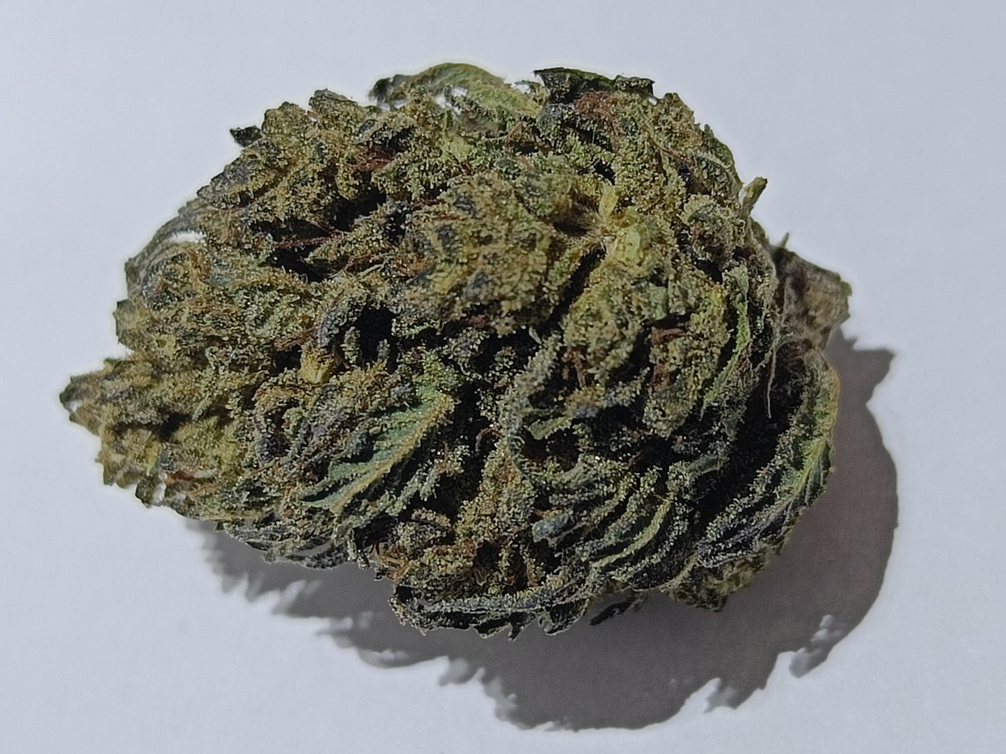 Bubba Kush 3.5g -21% CBD