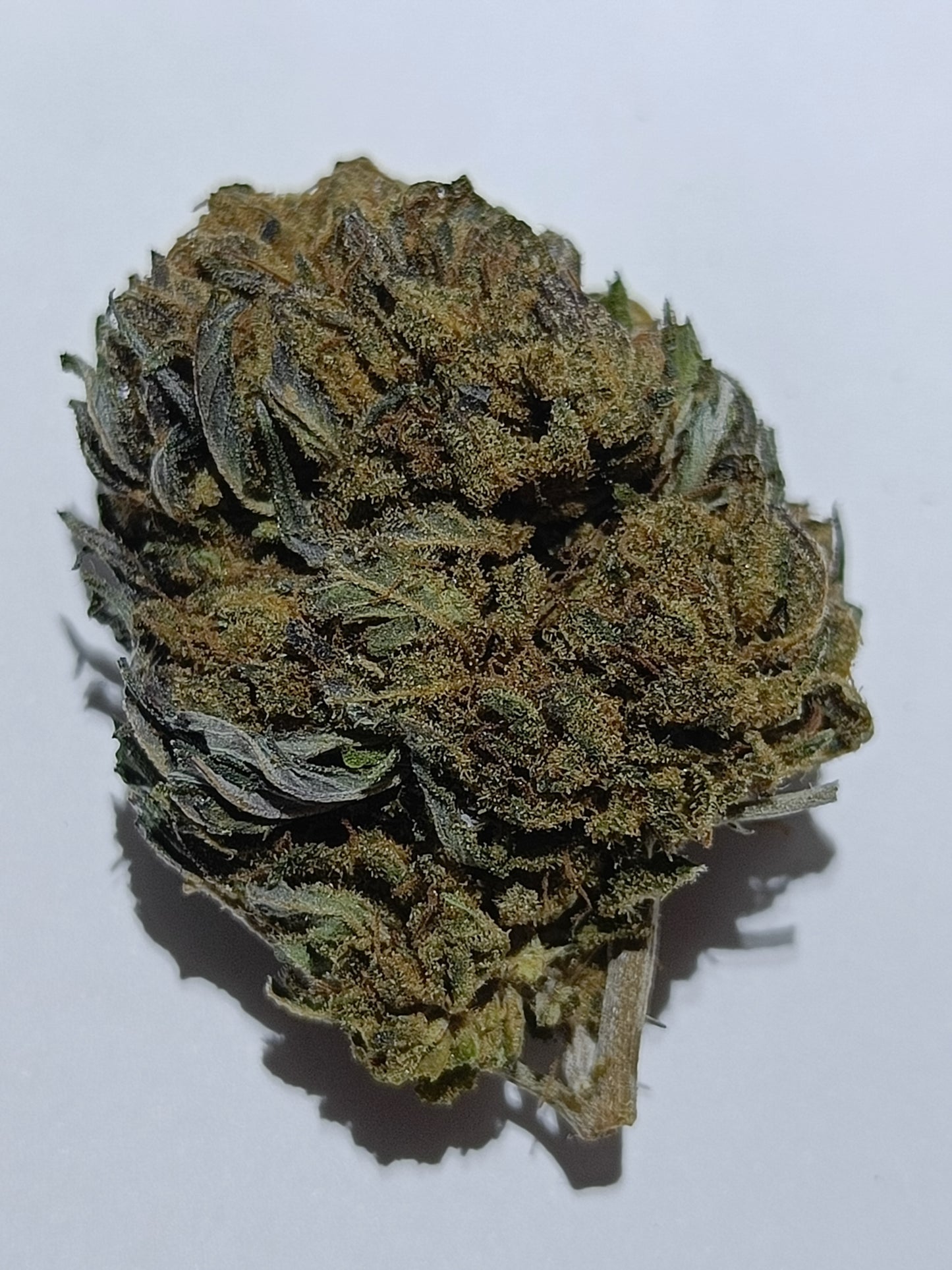 Royal OG 3.5g - 21%CBD