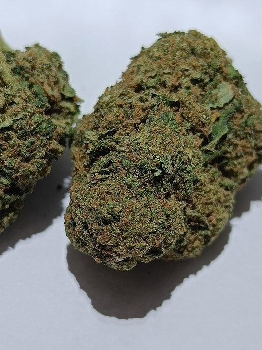 BUBBLEGUM GELATO 1.5g - 21.9%CBD